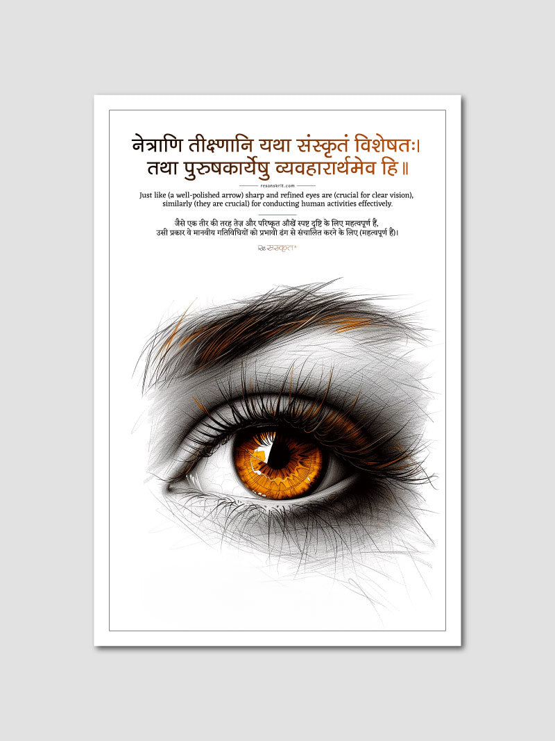 Eye Care Sanskrit Poster for Ophthalmology Clinics