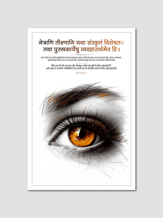 Eye Care Sanskrit Poster for Ophthalmology Clinics