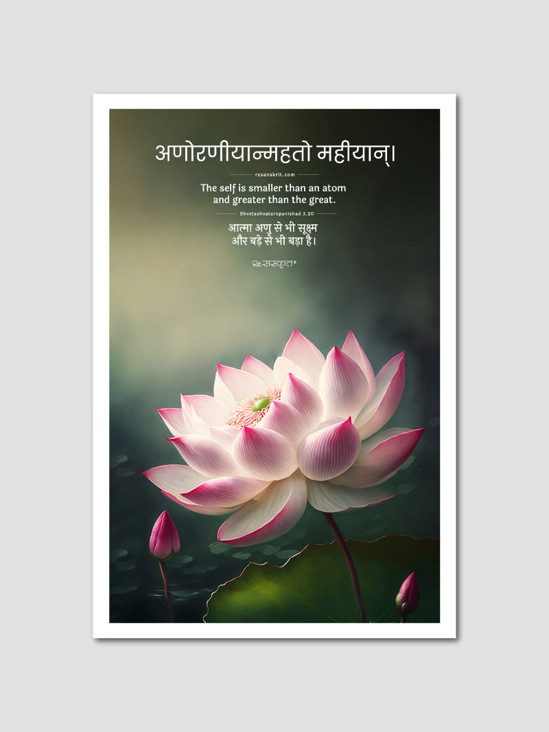 "Beyond Measure" Sanskrit Lotus Poster